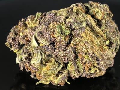 Hempology Life CBD STORE HEMP SHOP