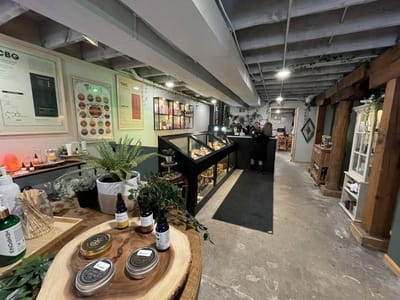 Hemponix - THC, CBD, CBG Dispensary