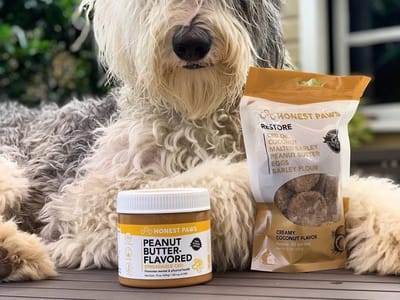 Hemporia CBD Product Superstore