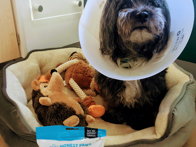 Hemporia CBD Product Superstore