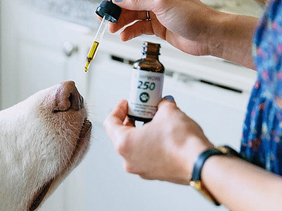 Hemporium New Mexico