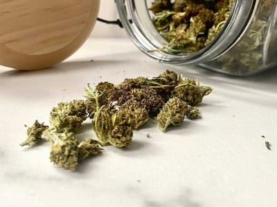 Hempvada/The Little CBD Store