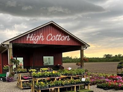 High Cotton Farms & High Cotton Hemp