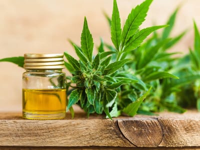 High Cotton Farms & High Cotton Hemp