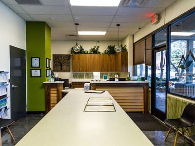 High Mountain Health