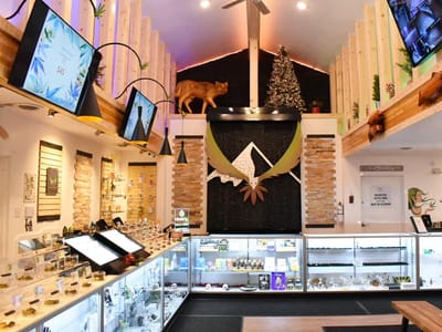 Higher by Bad Gramm3r