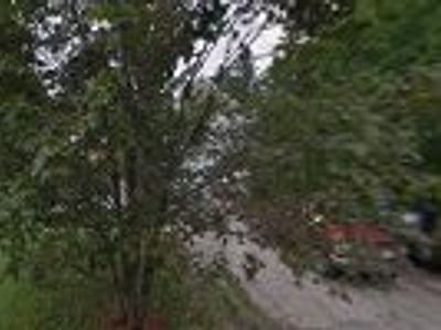 Hippy Chick Natural Soluctions