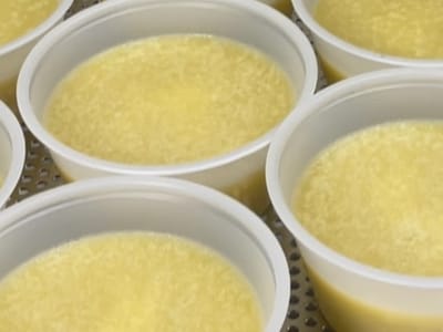 Holistic Harvest Cannabis Farms, LLC