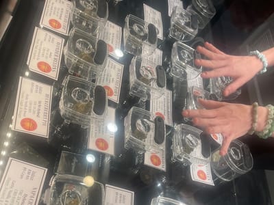 Holistic Releaf by Design