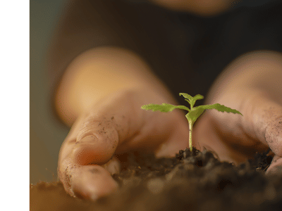 Holistic Releaf by Design