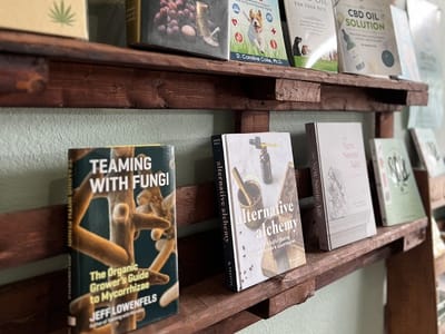 Holy Hemp CBD wellness