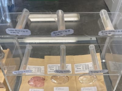 Honey Sour - Four Corners