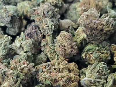 Honeysuckle Hemp and CBD