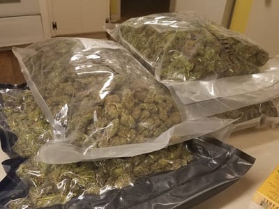 Honeysuckle Hemp and CBD