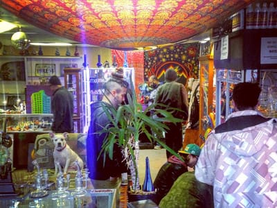 Hyzer's Pro Disc Golf and Smoke Shop