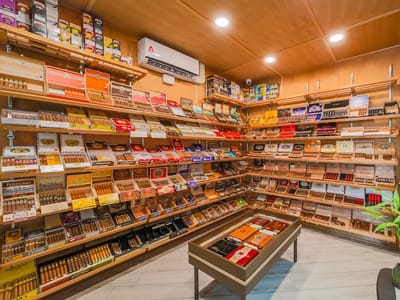 I Smoke Cigars & Vape ( GrayHawk )