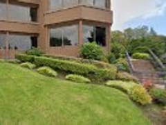 Identity CBD creamer