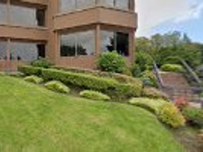 Identity CBD creamer