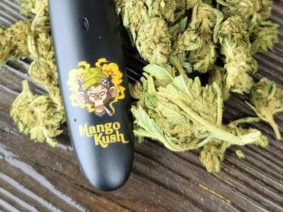 ION CBD - Your Pensacola Hemp, Delta 8 THC & CBD Store