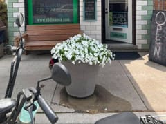 It's a Miracle CBD Store