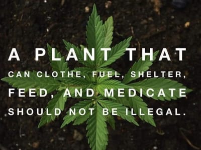 KannaBliss Store / Delta 8 THC Hemp and more..