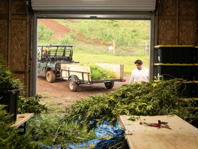 Kaua'i Hemp Company