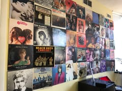 KB Natural Alternatives