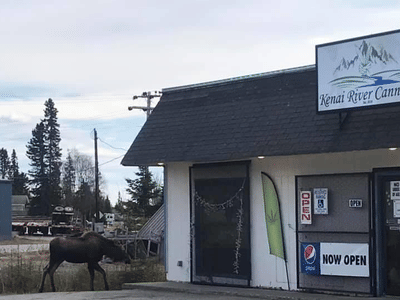 Kenai River Cannabis - KRC