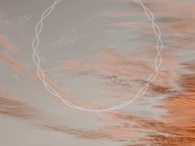 Kind Oasis Premium CBD & Delta 8 Dispensary in Milwaukee