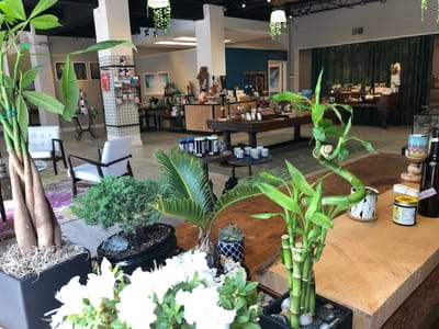 Kind Oasis Premium CBD & Delta 8 Dispensary in Milwaukee