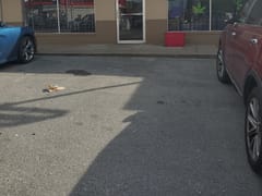 Koala Remedies & CBD