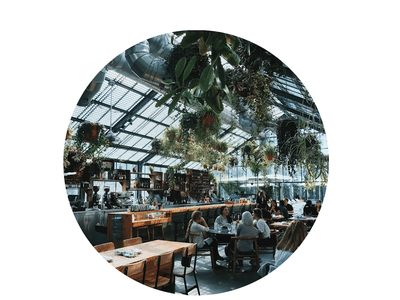 KOLAS Florin Perkins/Elder Creek Marijuana Dispensary