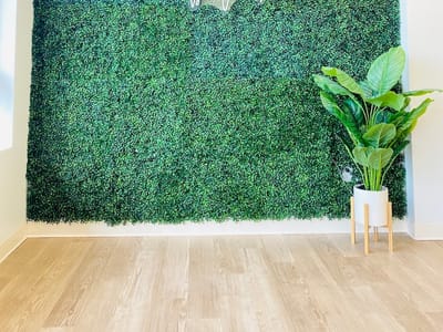 Kota Botanics - Premium CBD & More