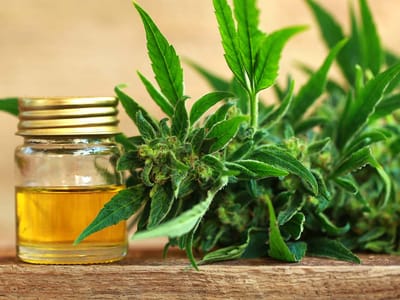 Kratom CBD Hemp Shop