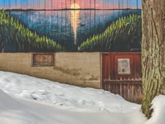 Lake And Leaf Cannabis Company