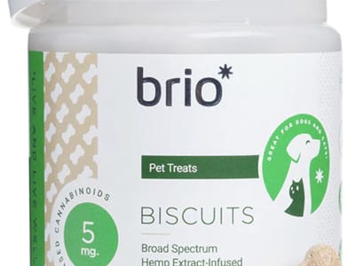 Leafy Wellness Co. CBD | D8 | HHC