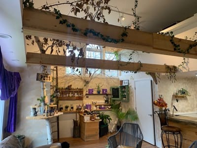 Litchfield County CBD