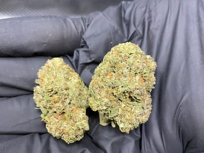 LITE'N UP DISPENSARY