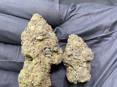 LITE'N UP DISPENSARY