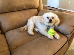 Lono Hawaii Hemp Company