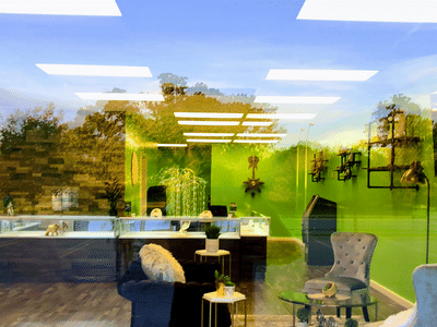 Lotus Botanicals CBD & Kratom