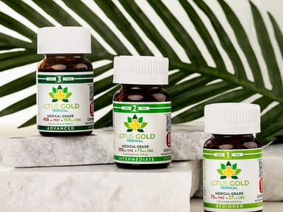Lotus Gold Cannabis Co.