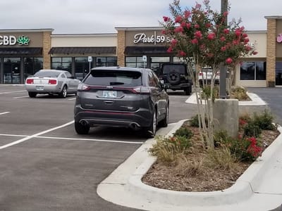 Lotus Gold Cannabis Co.