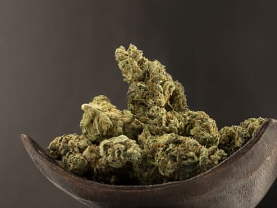 Lotus Gold Cannabis Co.