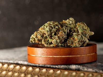 Lotus Gold Cannabis Co.