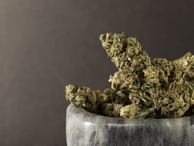 Lotus Gold Cannabis Co.