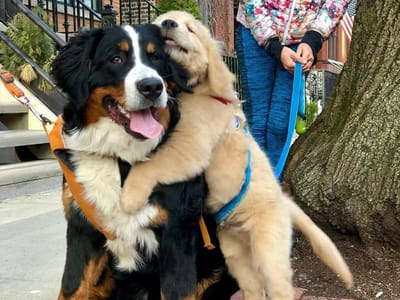 Macky's Health & Hemp/CBD Market