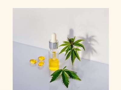 Magnolia Organics CBD & Hemp II