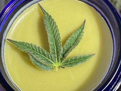 Magnolia Organics CBD & Hemp II