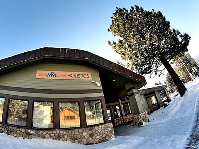 Mammoth Holistics Cannabis Dispensary & Delivery